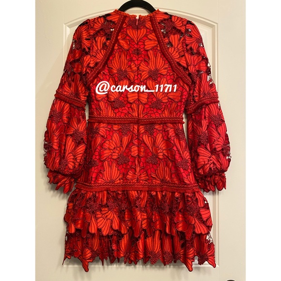 NEW Alexis Francisca Lace Mini Dress S - Picture 7 of 7